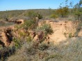 /album/visita-tecnica-corrego-dos-matias-22-07-2015/sam-4215-jpg/